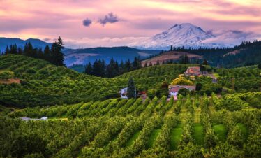 Hood River for view of Mt Adams