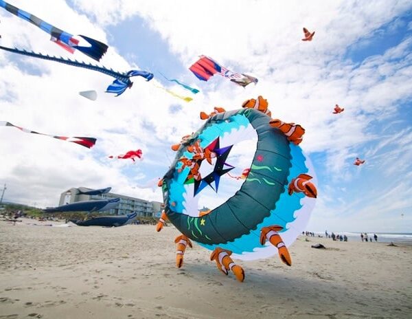 Lincoln Kite festival