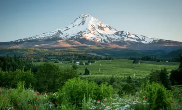 Mt Hood farms3
