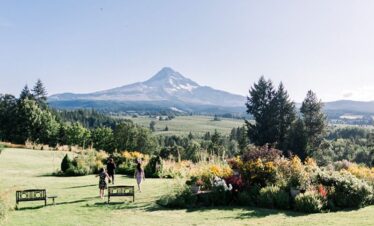 Mt Hood Farms