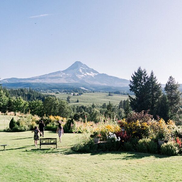 Mt Hood Farms