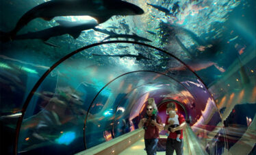 Oregon Coast Aquarium