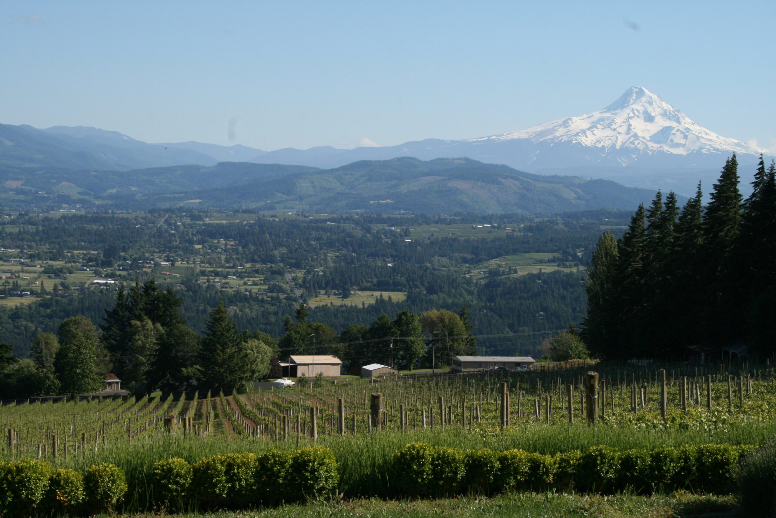 Cathedral Ridge Winery