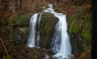 Elowah falls trail