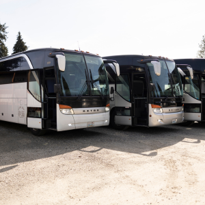 NWTours_buses